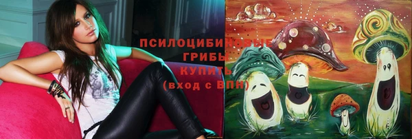 jwh Бронницы
